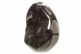 Septarian Dragon Egg Geode - Sparkly Black Crystals #329491-2
